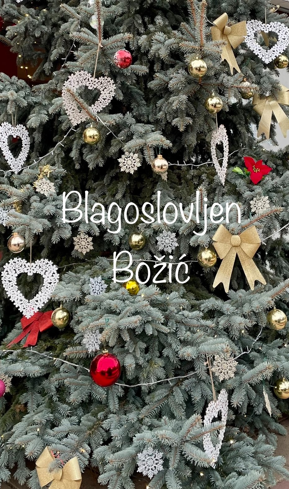 bozic